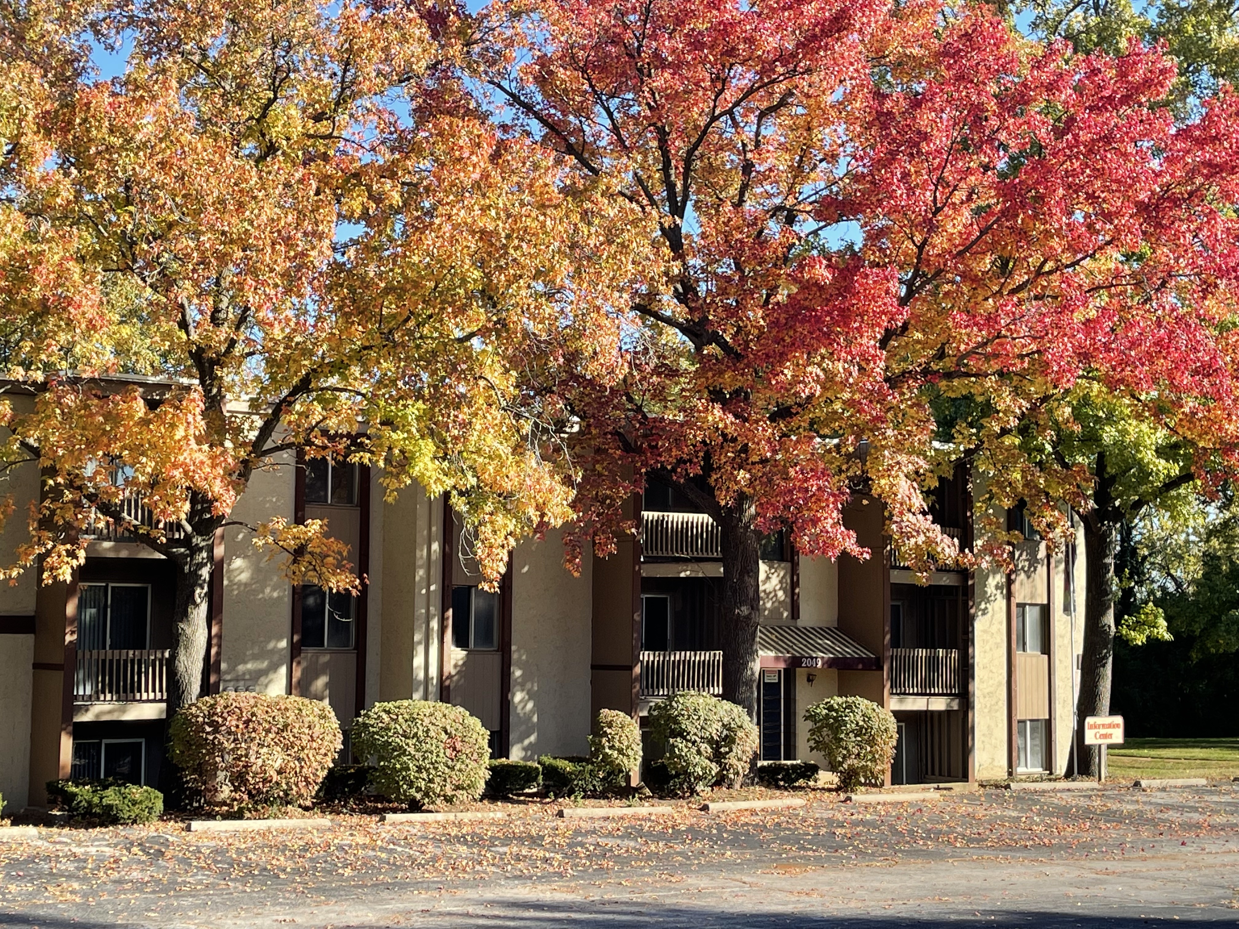Exterior view at Park Pointe Apartments in St. Louis, MO 63136