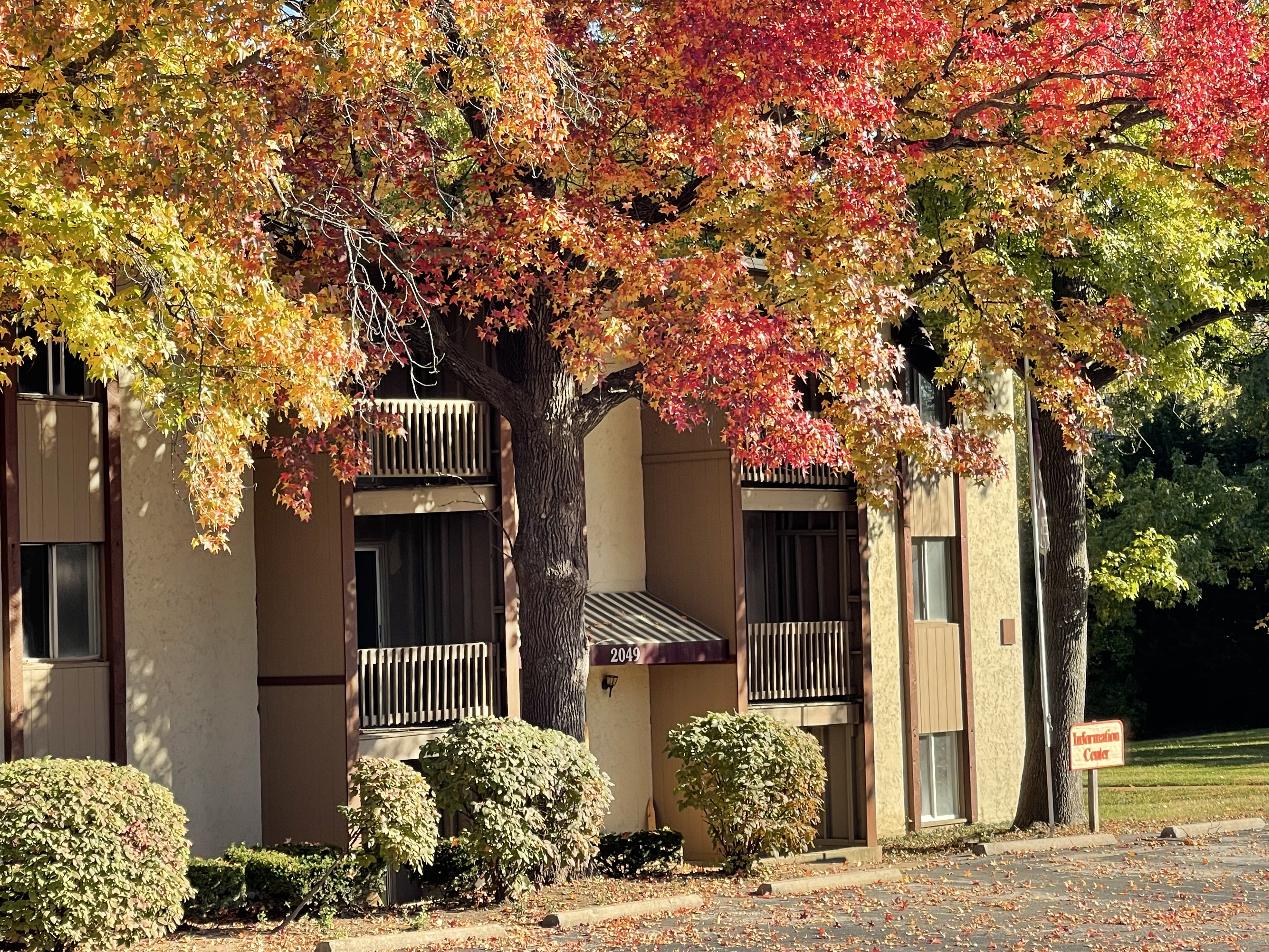 Office at Park Pointe Apartments in St. Louis, MO 63136