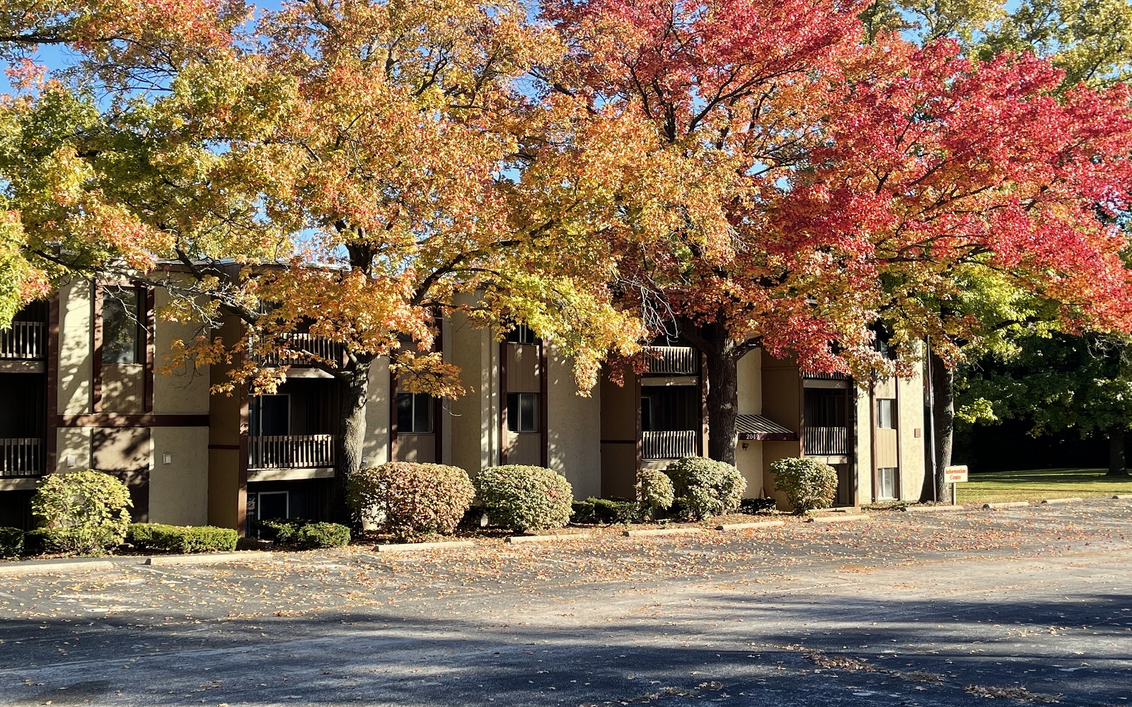 Park Pointe Apartments in St. Louis, MO 63136